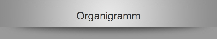 Organigramm